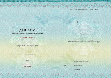 Прочие официальные документы